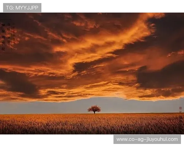 探索足球摄影中的暗灰调色技巧与视觉质感打造全流程解析